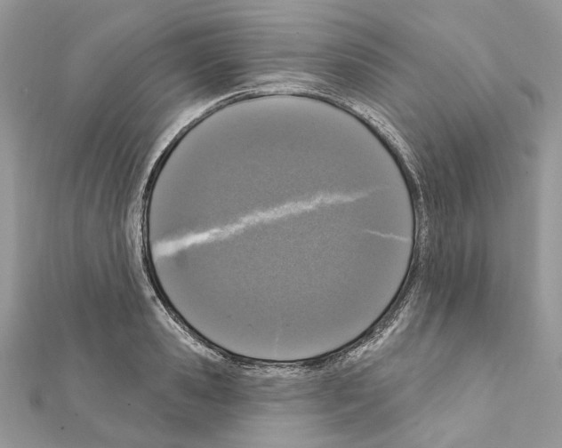 X0000111640941200908281154