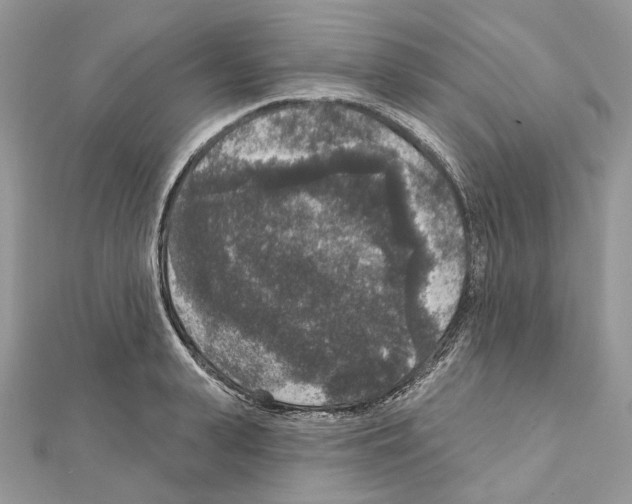 X0000111640943200908281154
