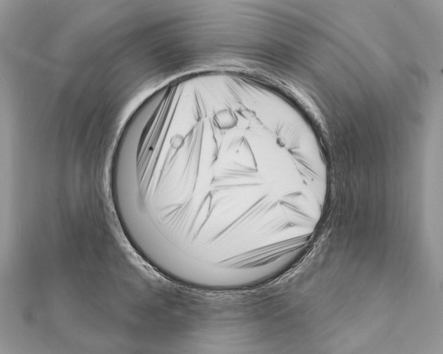 X0000111640944200908281154