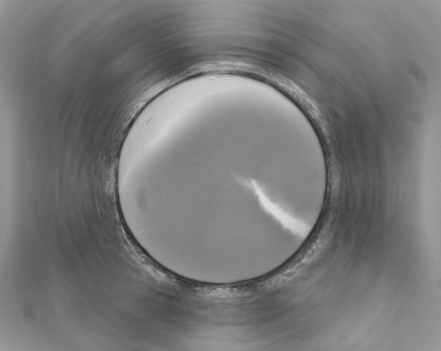 X0000111640945200908281154