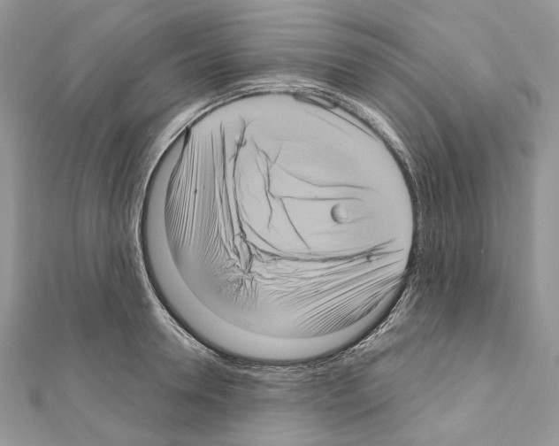 X0000111640946200908281154