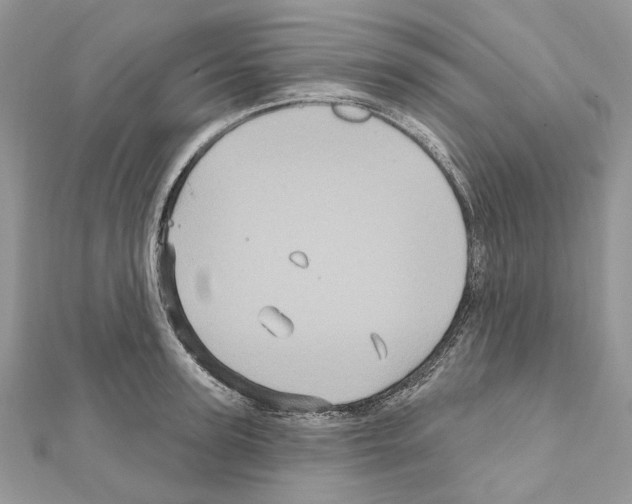 X0000111640947200908281154