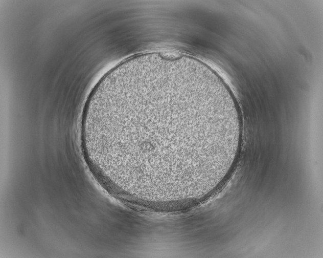 X0000111640949200908281154