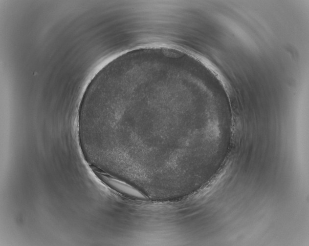 X0000111640951200908281154