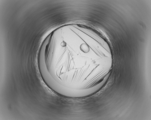 X0000111640952200908281154