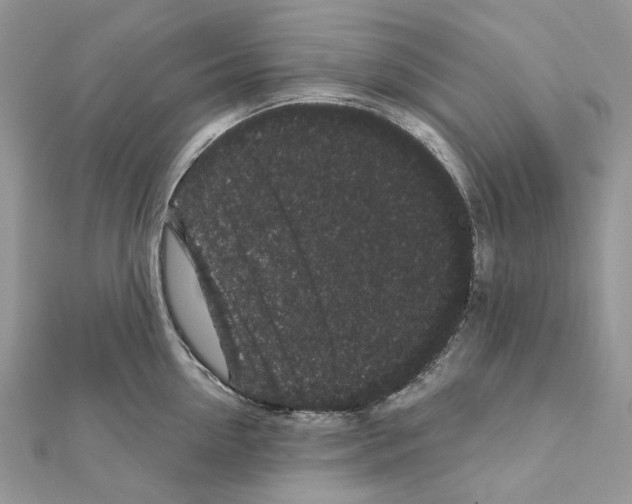 X0000111640954200908281154