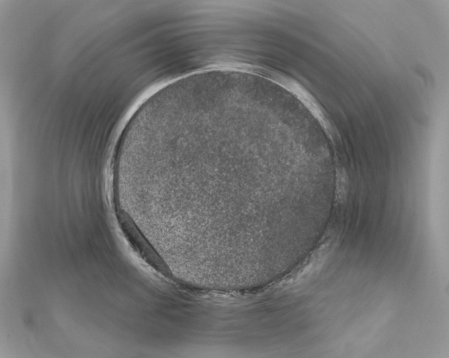 X0000111640955200908281154