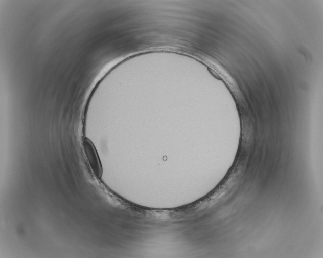X0000111640956200908281154