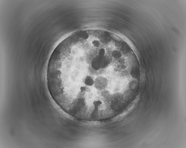 X0000111640957200908281154