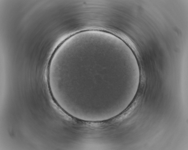 X0000111640958200908281154
