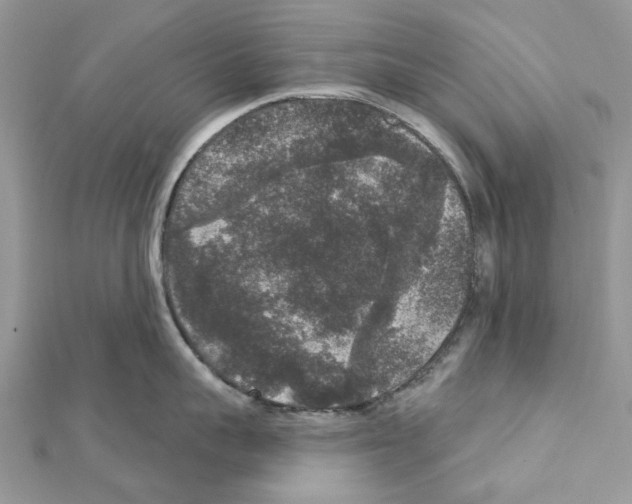 X0000111640959200908281154