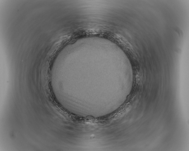 X0000111640961200908281154