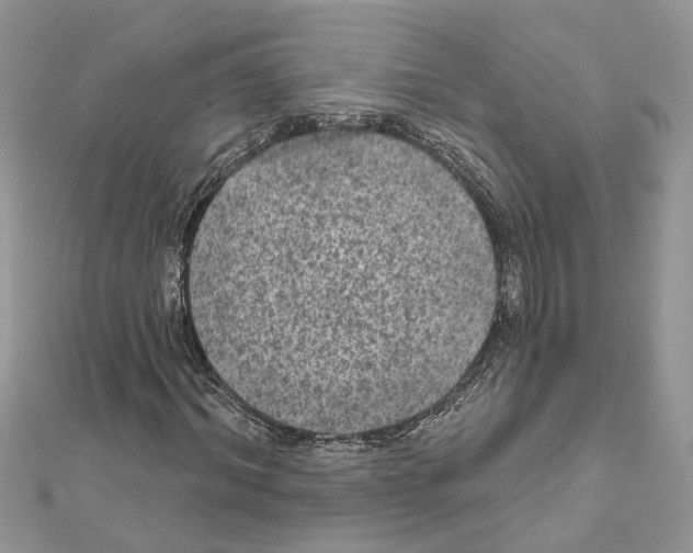 X0000111640964200908281154