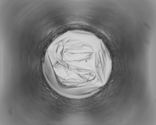 X0000111640965200908281154