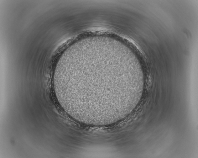 X0000111640967200908281154