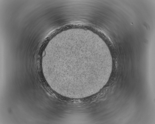 X0000111640968200908281154