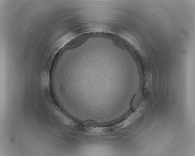 X0000111640969200908281154