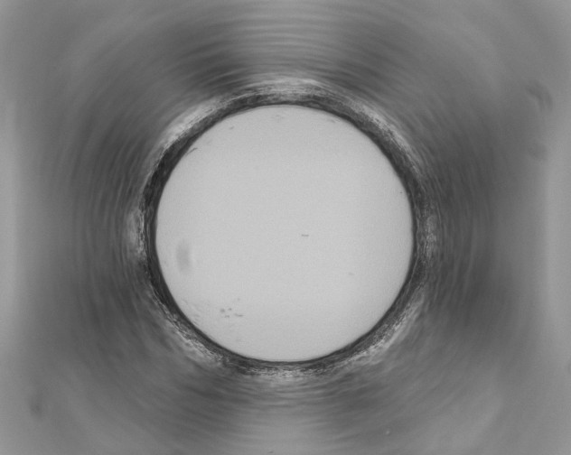 X0000111640970200908281153