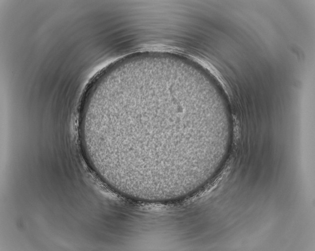 X0000111640971200908281153