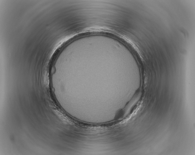 X0000111640973200908281153