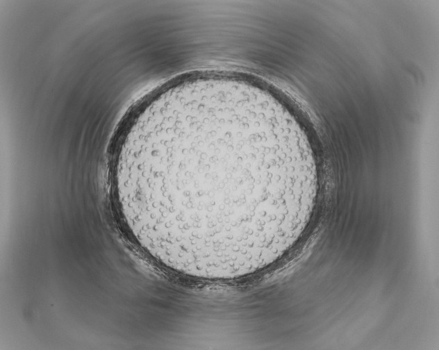 X0000111640974200908281153