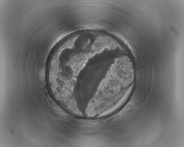 X0000111640975200908281153