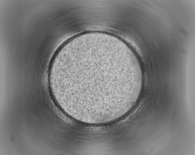 X0000111640976200908281153