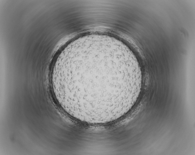 X0000111640978200908281153
