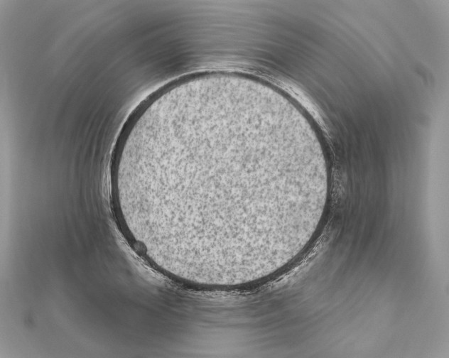 X0000111640980200908281153