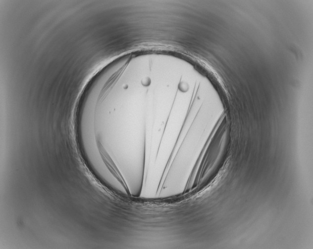 X0000111640981200908281153