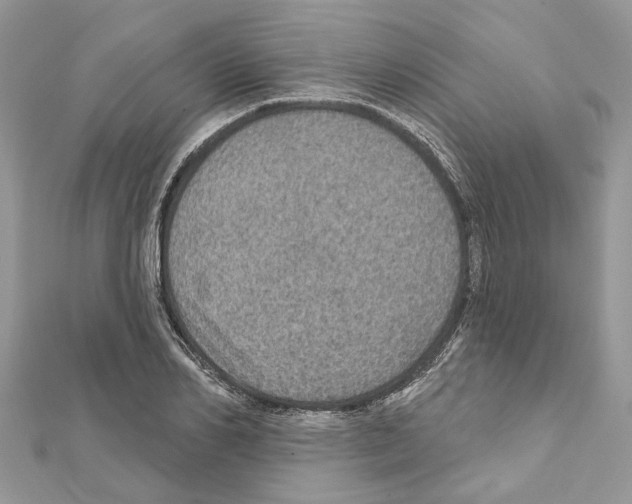 X0000111640982200908281153