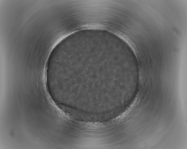 X0000111640983200908281153
