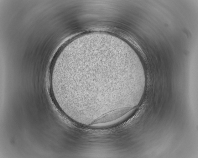 X0000111640984200908281153