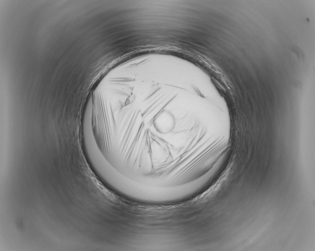 X0000111640985200908281153