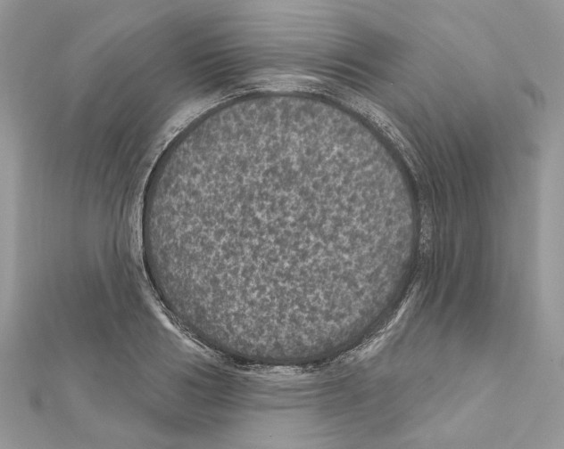 X0000111640986200908281153