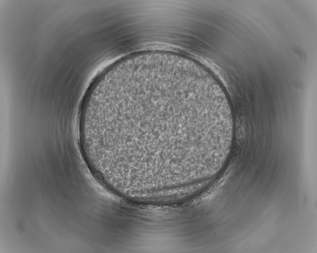 X0000111640987200908281153