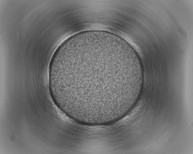 X0000111640988200908281153