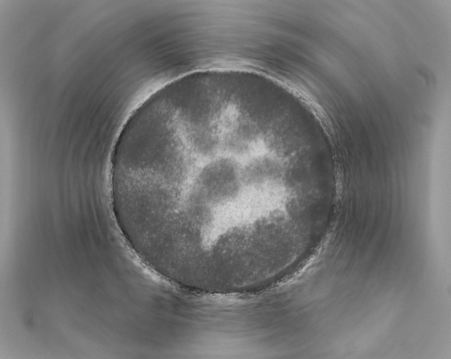 X0000111640990200908281153