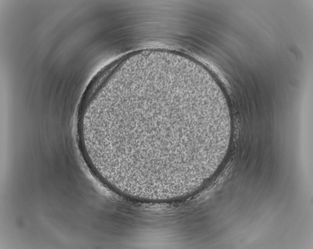 X0000111640991200908281153