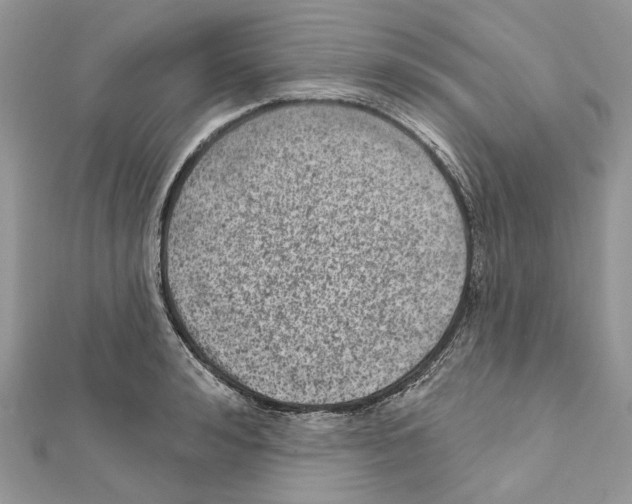 X0000111640992200908281153