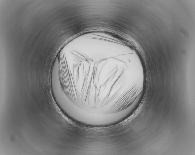 X0000111640993200908281153