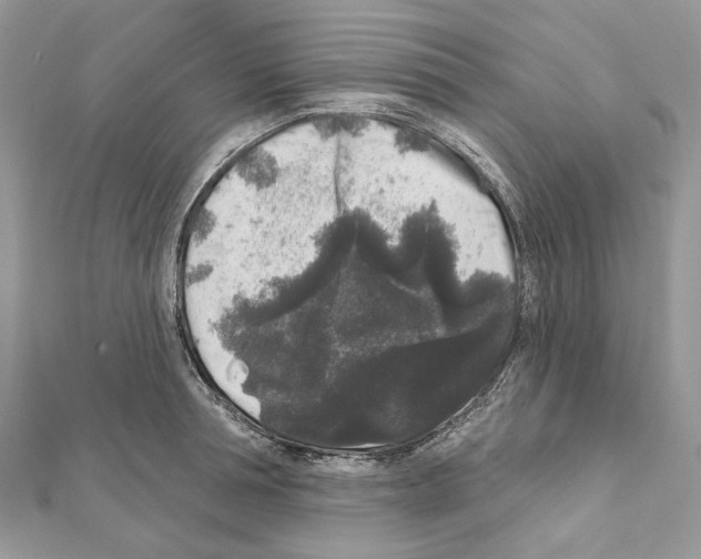 X0000111640994200908281153