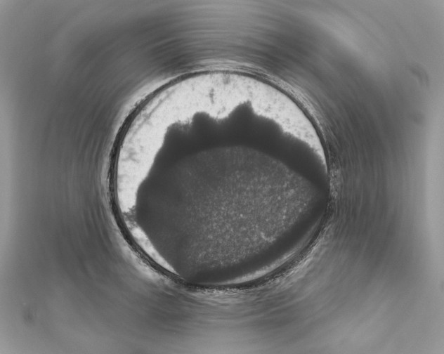 X0000111640995200908281153