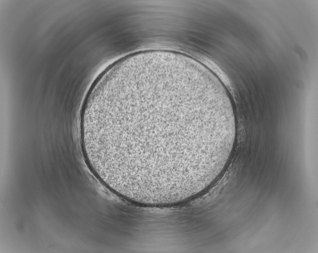 X0000111640996200908281153