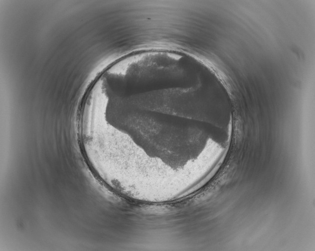 X0000111640998200908281153