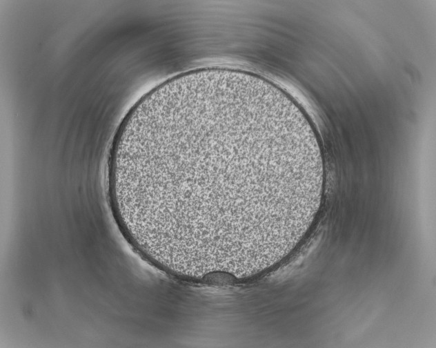 X0000111640999200908281153