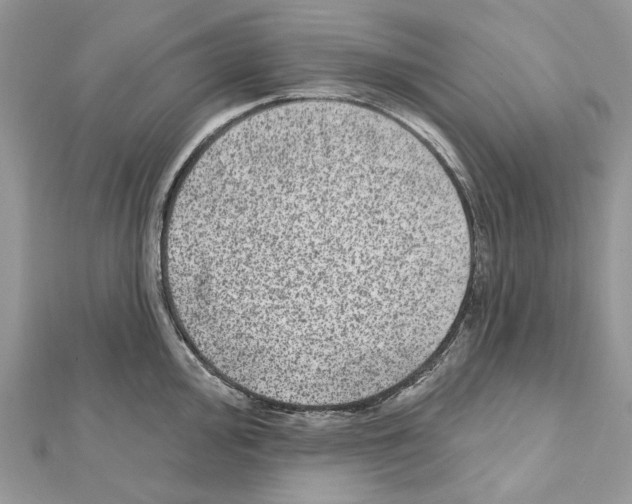X0000111641000200908281153