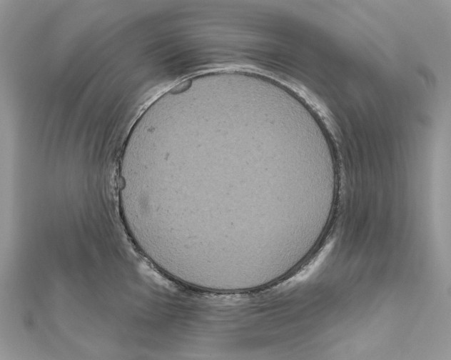X0000111641001200908281153