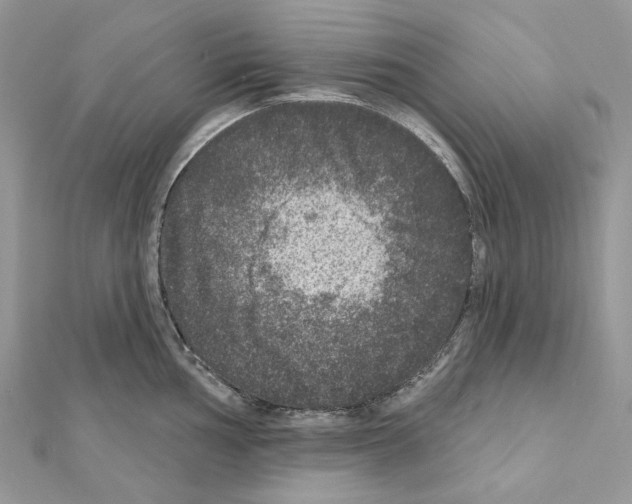 X0000111641002200908281153