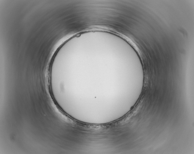 X0000111641003200908281153